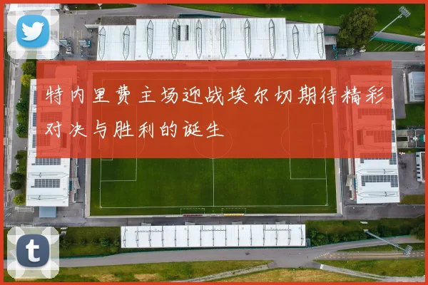 特内里费主场迎战埃尔切期待精彩对决与胜利的诞生