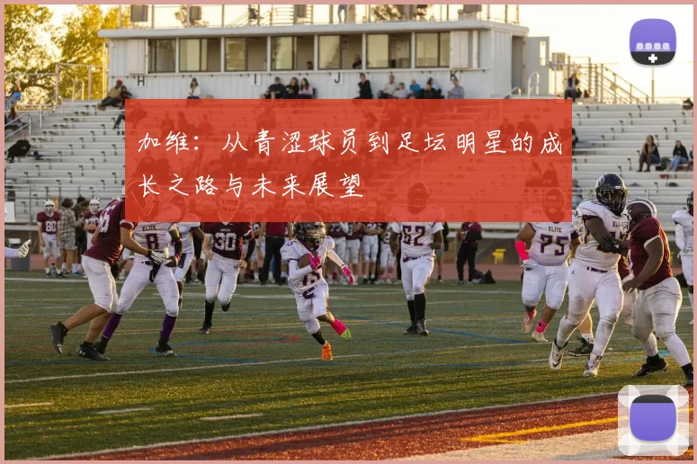 加维：从青涩球员到足坛明星的成长之路与未来展望