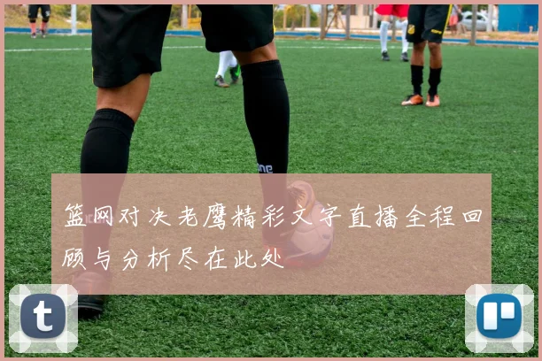 篮网对决老鹰精彩文字直播全程回顾与分析尽在此处