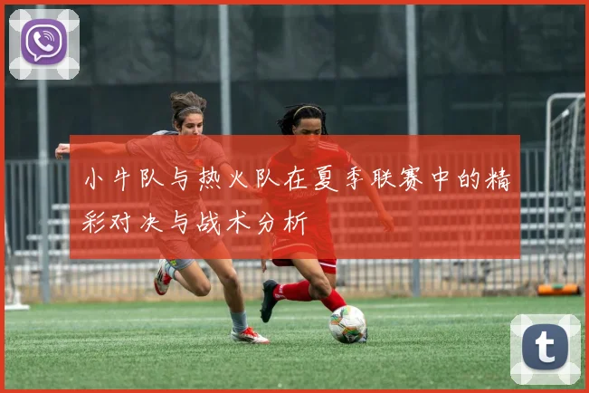 小牛队与热火队在夏季联赛中的精彩对决与战术分析