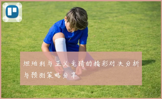 坦珀利与正义竞猜的精彩对决分析与预测策略分享