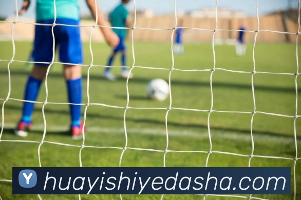 豪门国际APP 封面图